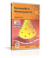 DVD - Nervenzelle & Nervensystem II