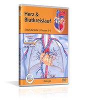 DVD - Herz & Blutkreislauf