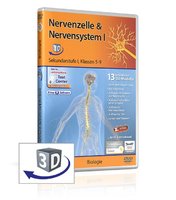 Nervenzelle & Nervensystem I- Die real3D-Software 
